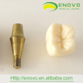 EN-T18 Two Parts New Implant Model for Dental Promotion Gift